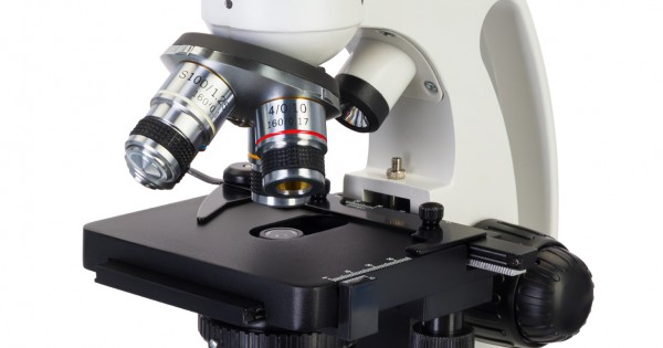 Microscopio digitale Discovery Atto Polar con libro