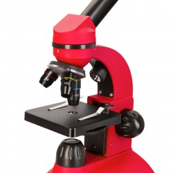 Microscopio Discovery Nano Terra con libro